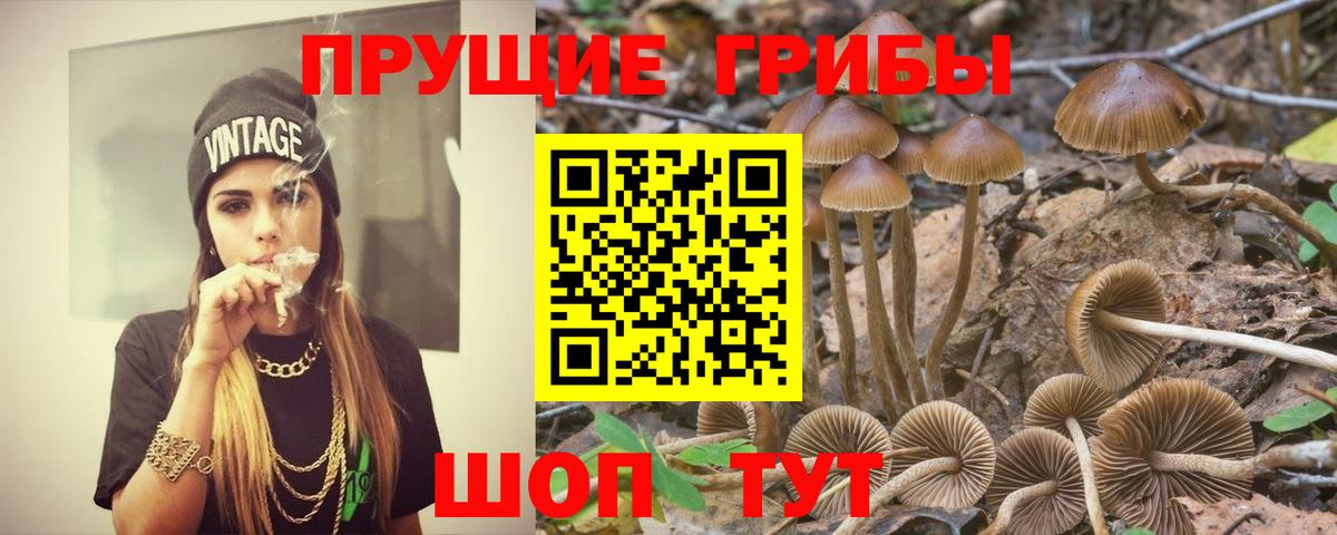 Галлюциногенные грибы Magic Shrooms  Вход с VPN  Тара 